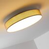 Victoria Plafondlamp LED Wit, 1-licht