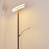 Lasona Staande lamp LED Bruin, Zilver, 2-lichts