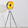Saturn Staande lamp Chroom, Zwart, 1-licht