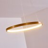 Canisteo Hanger LED Goud, 1-licht