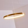 Canisteo Hanger LED Goud, 1-licht