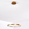 Canisteo Hanger LED Goud, 1-licht
