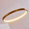 Canisteo Hanger LED Goud, 1-licht