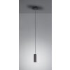 Trio MARLEY Hanglamp Zwart, 1-licht