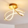 Wengi Plafondlamp LED Goud, 1-licht