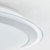 Brilliant Dinos Plafondlamp LED Zilver, 1-licht, Afstandsbediening, Kleurwisselaar