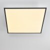 Salmi Plafondlamp LED Grijs, Wit, 1-licht