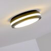 Wollongong Buitenshuis plafond verlichting LED Antraciet, 1-licht