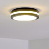 Wollongong Buitenshuis plafond verlichting LED Antraciet, 1-licht