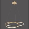 Paul Neuhaus ROMAN Hanglamp LED Goud, 1-licht