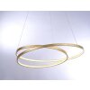 Paul Neuhaus ROMAN Hanglamp LED Goud, 1-licht