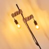 Barbengo Staande lamp Bruin, Zwart, 2-lichts