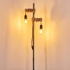 Barbengo Staande lamp Bruin, Zwart, 2-lichts