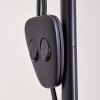 Barbengo Staande lamp Bruin, Zwart, 2-lichts