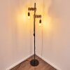 Barbengo Staande lamp Bruin, Zwart, 2-lichts