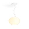 Philips Hue Ambiance White & Color Flourish Hanglamp LED Wit, 1-licht, Kleurwisselaar
