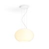 Philips Hue Ambiance White & Color Flourish Hanglamp LED Wit, 1-licht, Kleurwisselaar
