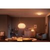 Philips Hue Ambiance White & Color Flourish Hanglamp LED Wit, 1-licht, Kleurwisselaar