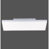 Paul Neuhaus FRAMELESS Plafondlamp LED Wit, 1-licht, Afstandsbediening