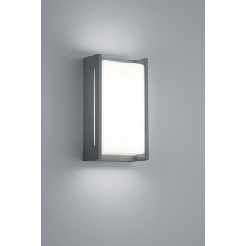 Trio INDUS Buiten muurverlichting LED Antraciet, 1-licht