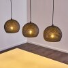 Wildervanksterdallen Hanglamp Zwart, 3-lichts