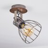 Bitterroot Plafondlamp Bruin, Hout donker, 1-licht