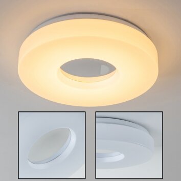 Loris Plafondlamp LED Wit, 1-licht