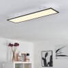 Salmi Plafondlamp LED Zwart, Wit, 1-licht