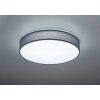 Trio Lugano Plafondlamp LED Grijs, 1-licht, Afstandsbediening