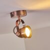 Aniak Plafondlamp LED Koperkleurig, 1-licht