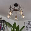Quento Plafondlamp Messing, Zwart, 5-lichts