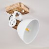 Orny Plafondlamp Wit, 1-licht