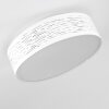 Bandol Plafondlamp LED Wit, 1-licht