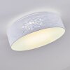 Bandol Plafondlamp LED Wit, 1-licht
