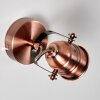 Aniak Wandlamp LED Koperkleurig, 1-licht
