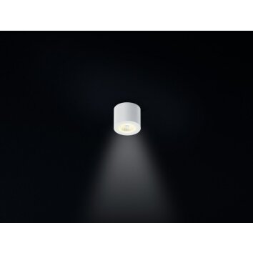 Helestra OSO Plafondlamp LED Wit, 1-licht