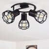 Gainesville Plafondlamp Zwart, 3-lichts