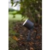 Lutec EXPLORER Tuinspot LED Antraciet, 1-licht