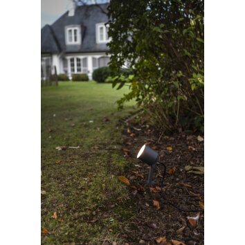 Lutec EXPLORER Tuinspot LED Antraciet, 1-licht