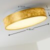 Victoria Plafondlamp LED Wit, 1-licht