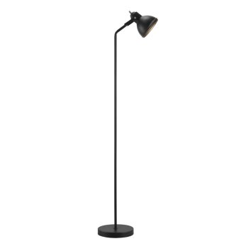 Nordlux ASLAK Staande lamp Zwart, 1-licht