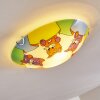 Pizzy Katze Plafondlamp Chroom, Wit, 2-lichts