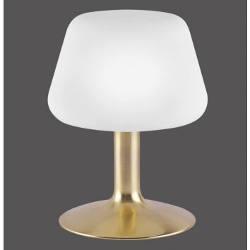 Paul Neuhaus TILL Tafellamp LED Messing, 1-licht