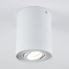 Quimper Plafondlamp Wit, 1-licht