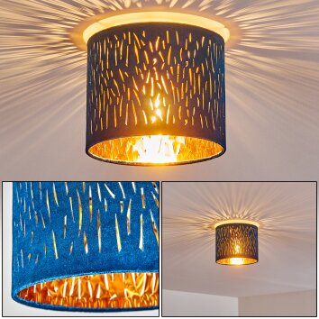 Liared Plafondlamp Nikkel mat, 1-licht