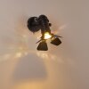 Lichinga Wandlamp Zwart, 1-licht