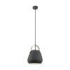 EGLO BEDNALL Hanger Grijs, 1-licht