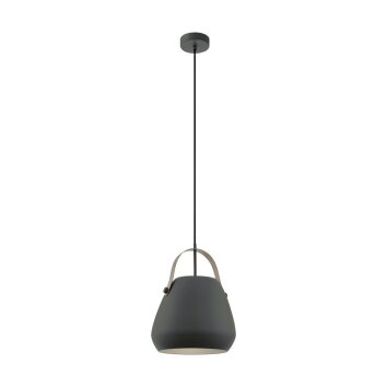 EGLO BEDNALL Hanger Grijs, 1-licht