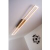 Paul Neuhaus Plafondlamp LED Staal geborsteld, 4-lichts