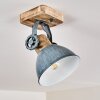 Orny Plafondlamp Grijs, 1-licht